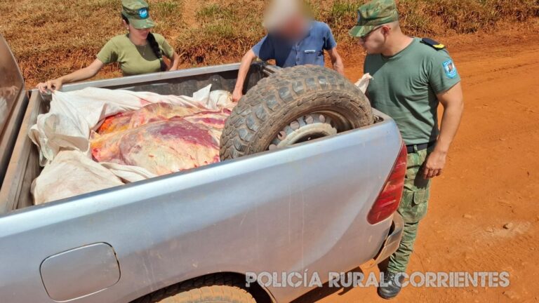 Transportaba en una camioneta 800 kg de carne de un toro faenado de manera clandestina