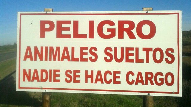 El PRIAR advierte sobre animales sueltos en rutas nacionales y provinciales