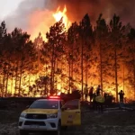 En el primer trimestre se registraron quemas en 81.120 hectáreas de Corrientes