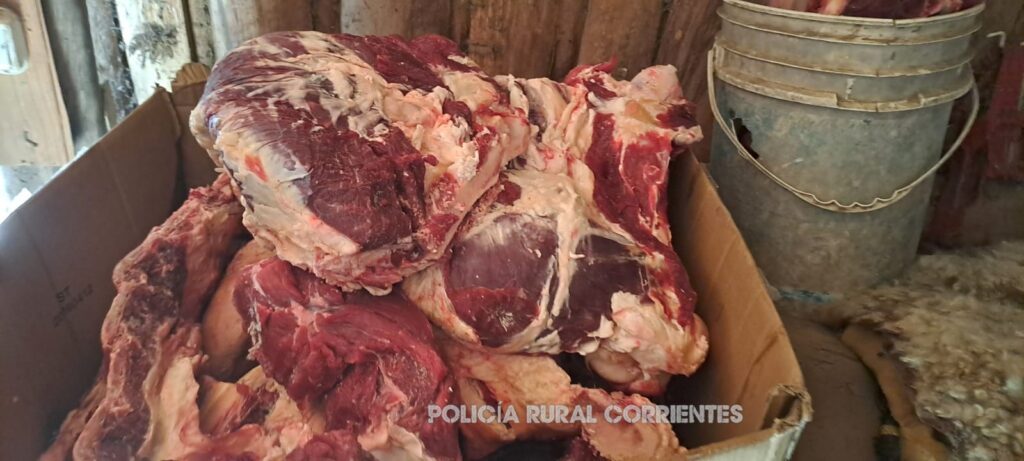 Guaviraví: desbaratan una banda de cuatreros que operaba en la zona