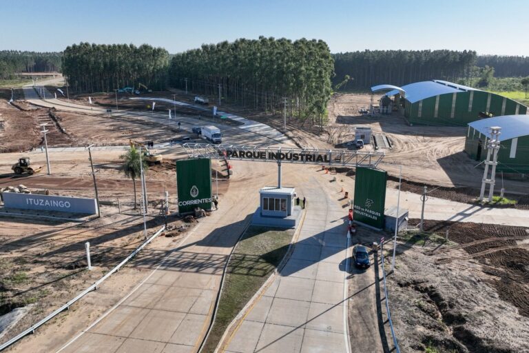Cristina Area: “Una planta de celulosa fluff moderna es un motor de desarrollo para el NEA, pero requiere control ambiental, planificación y licencia social”
