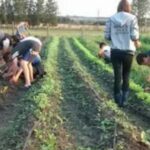Propician incorporar a Escuelas EFAs como beneficiarias del Fondo de Desarrollo Rural