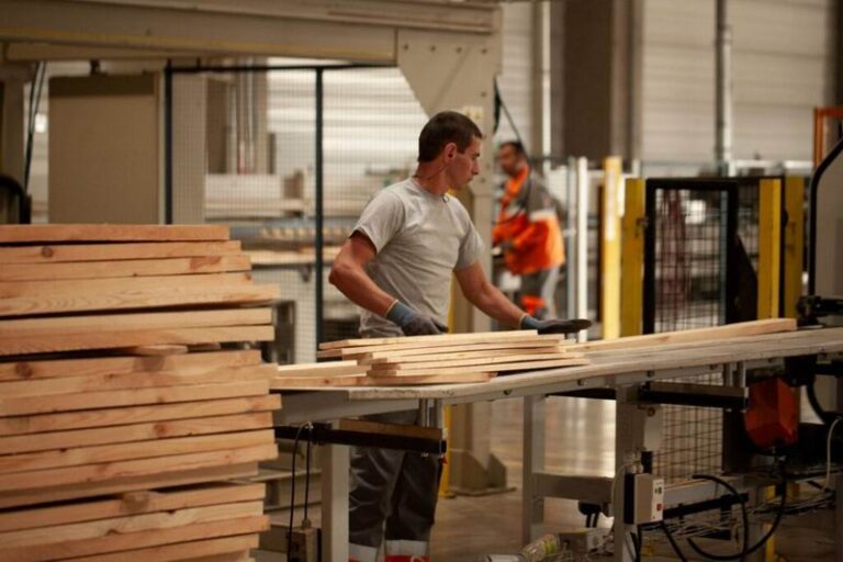 Sector forestal: advierten que faltan industrias para procesar la madera