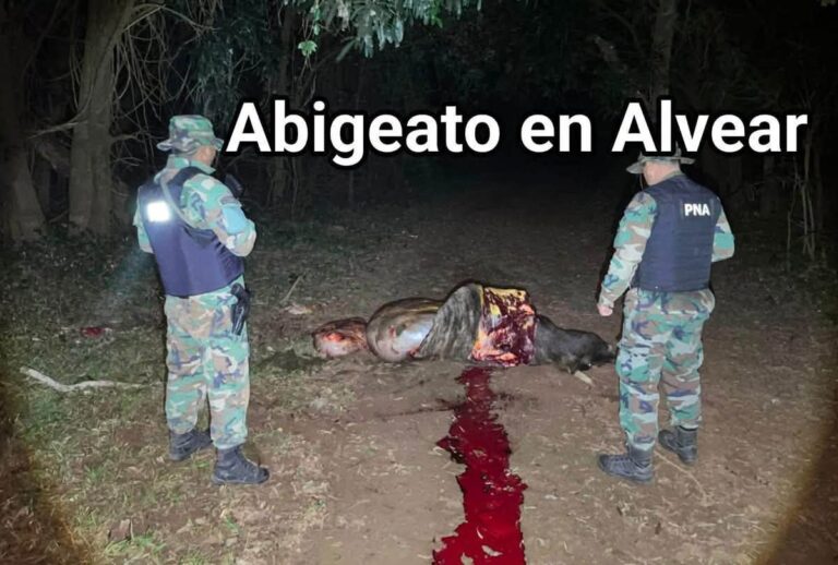 Alerta en la frontera de Alvear: Investigan incursiones armadas desde Brasil por robo de ganado