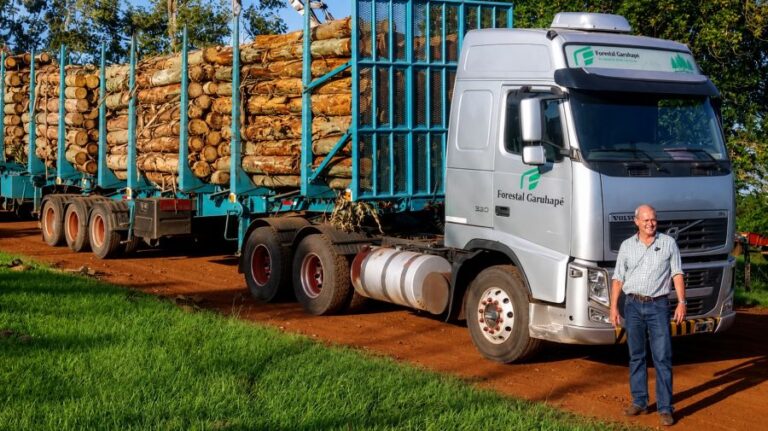 Torres Cayman resaltó el crecimiento del polo forestal: «Corrientes es la provincia estratégica forestal del país»