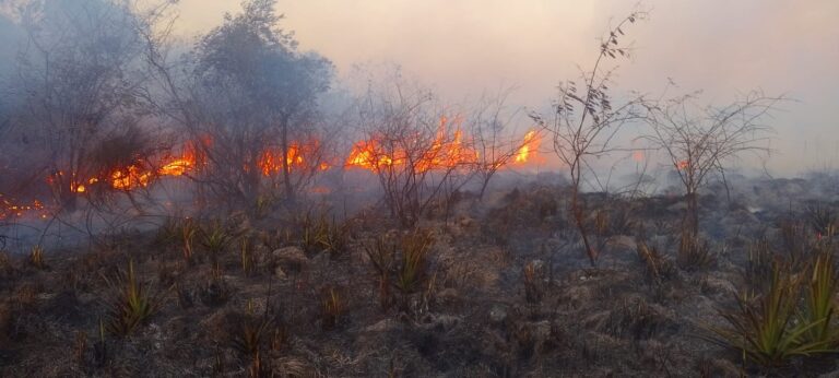 Fuertes incendios rurales y ráfagas de viento de hasta 75 km/h pusieron en riesgo varias viviendas