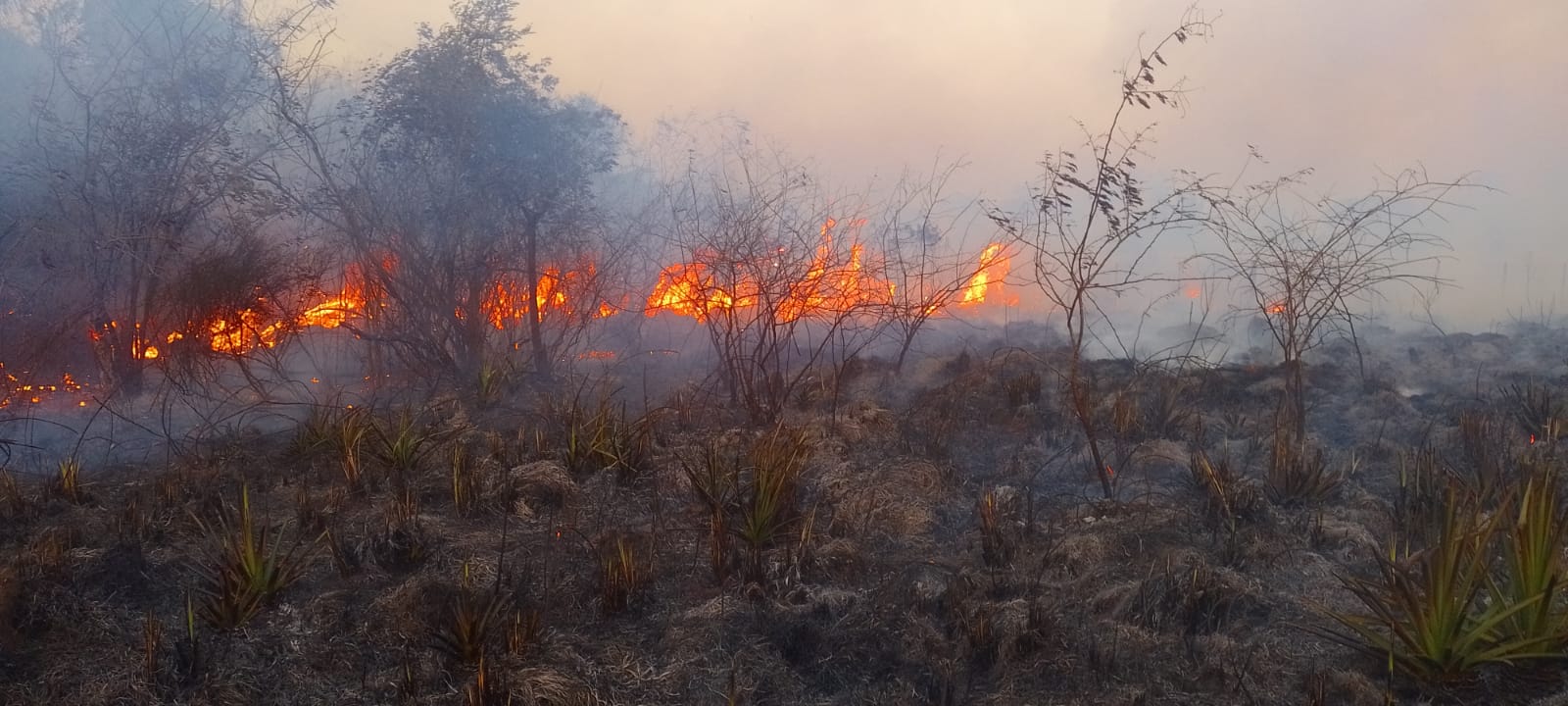Fuertes incendios rurales y ráfagas de viento de hasta 75 km/h pusieron en riesgo varias viviendas