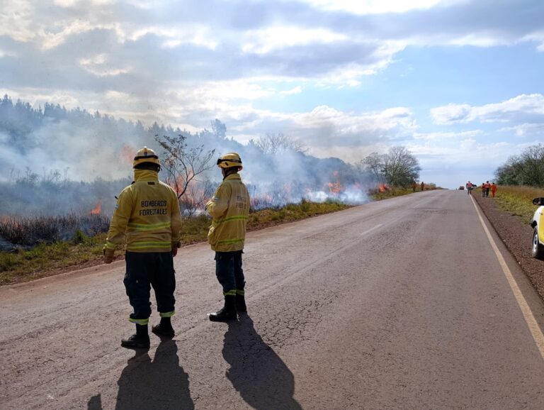 Ruta 94: realizan quemas controladas a lo largo de 20 kilómetros para evitar incendios rurales