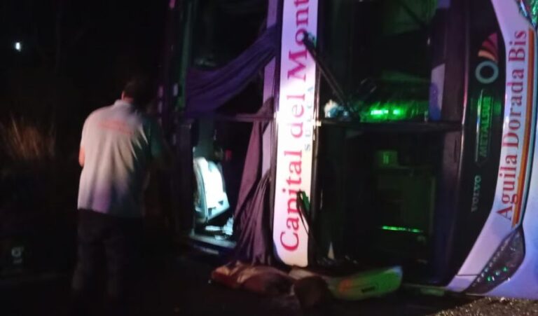 Falleció otra pasajera tras el vuelco de un colectivo en la zona de Alvear