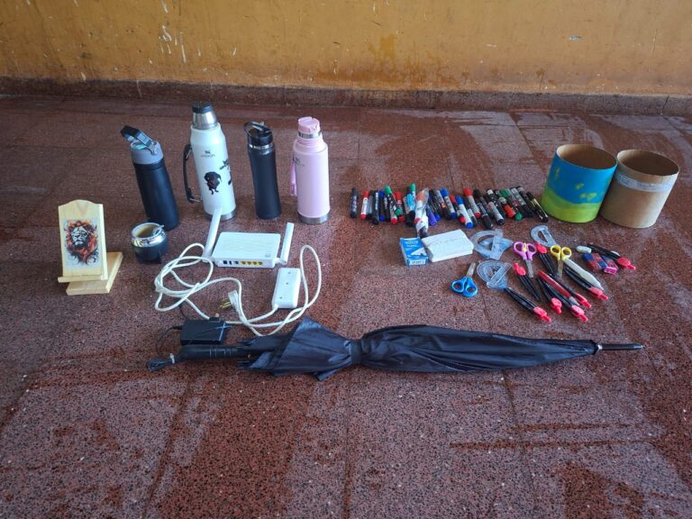 Identificaron y demoraron a dos menores por robos en la Escuela Normal