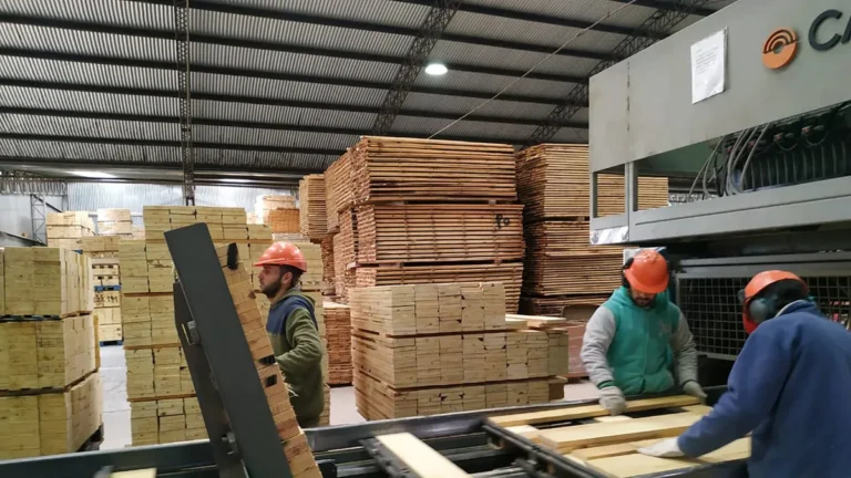 FAIMA: El empleo maderero cayó 8,57% y preocupa la pérdida de capacidades