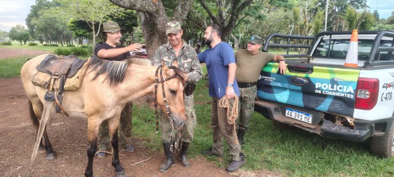 De víctima del maltrato a símbolo de esperanza: la nueva vida de «Perla»