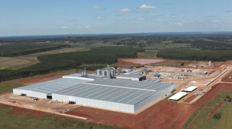 La Preocupación de Acon Timber: “Está siendo más difícil de lo que pensábamos”