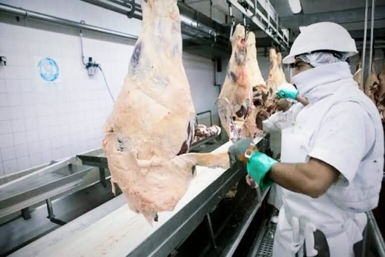 97 trabajadores despedidos tras el cierre de un frigorífico