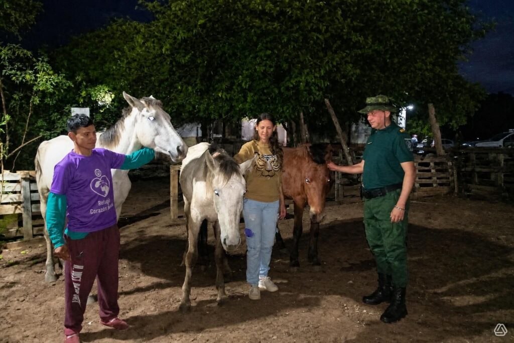 Maltrato animal en Paso de los Libres: rescataron a tres caballos que eran golpeados y obligados a tirar de un carro