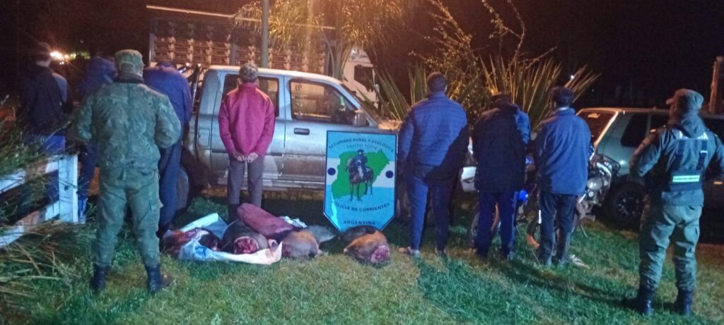 Santo Tomé: cazadores furtivos fueron interceptados de madrugada con cuatro carpinchos faenados