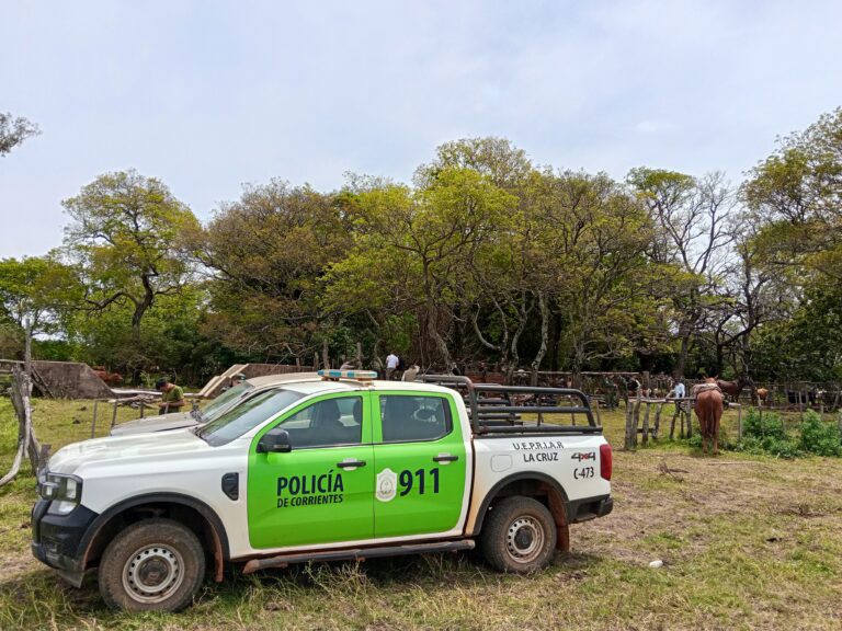    EN LA CRUZ:  Un control de rutina por un arma ilegal destapó una red de abigeato donde se secuestraron 12 vacunos