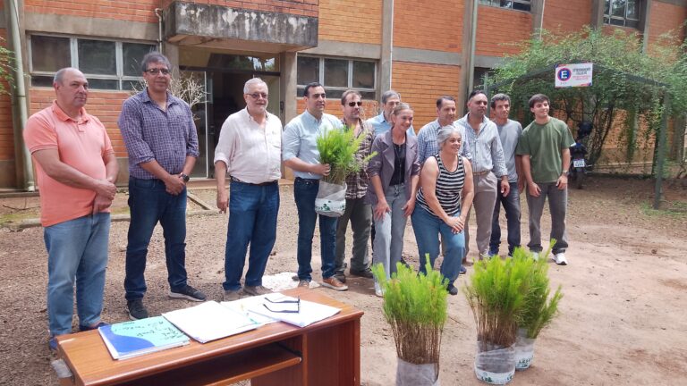    CONVENIO PROVINCIA Y MUNICIPIO:  Entregaron 7.000 plantines de pinos a pequeños y medianos productores