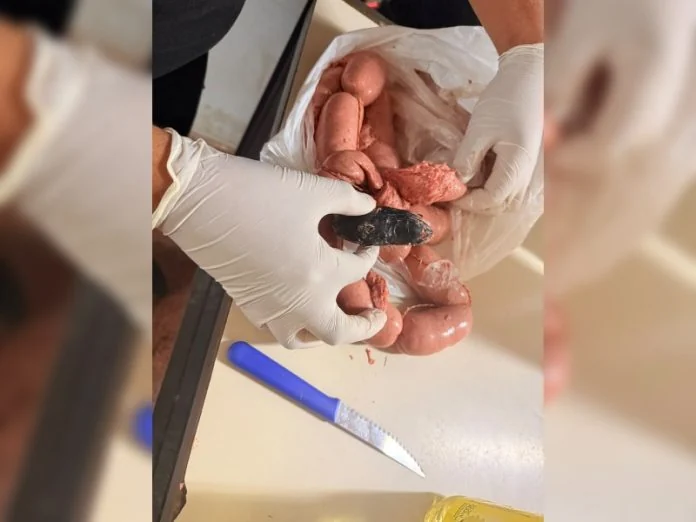 Un policía intentó ingresar marihuana oculta en alimentos para su hijo detenido y la Jefatura ordenó su pase a disponibilidad