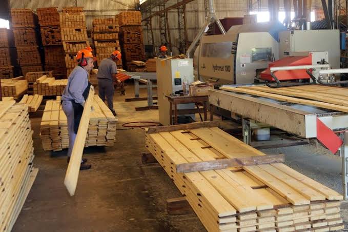 Quebró una maderera líder en la producción de pallets y ordenaron la incautación de sus bienes